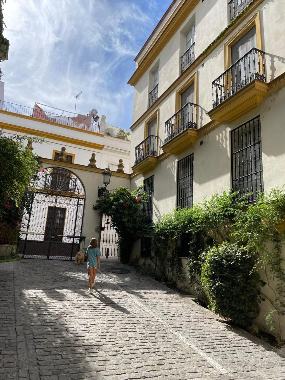 Sevilla Centro-Casco Antiguo -Vidrio 36 外观 照片
